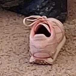 [잡담] 누가 이거 성한빈 닮았대 | 인스티즈