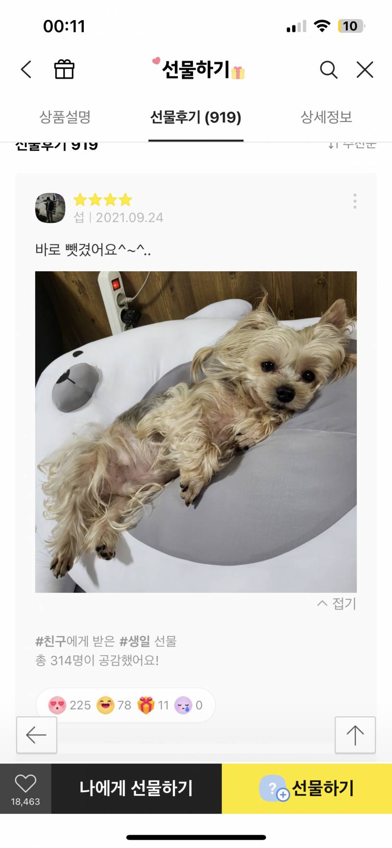 ㅋㅋㅋ 바디필로우 리뷰보는데 강쥐 얘기밖에없음 ㅋㅋㅋ | 인스티즈