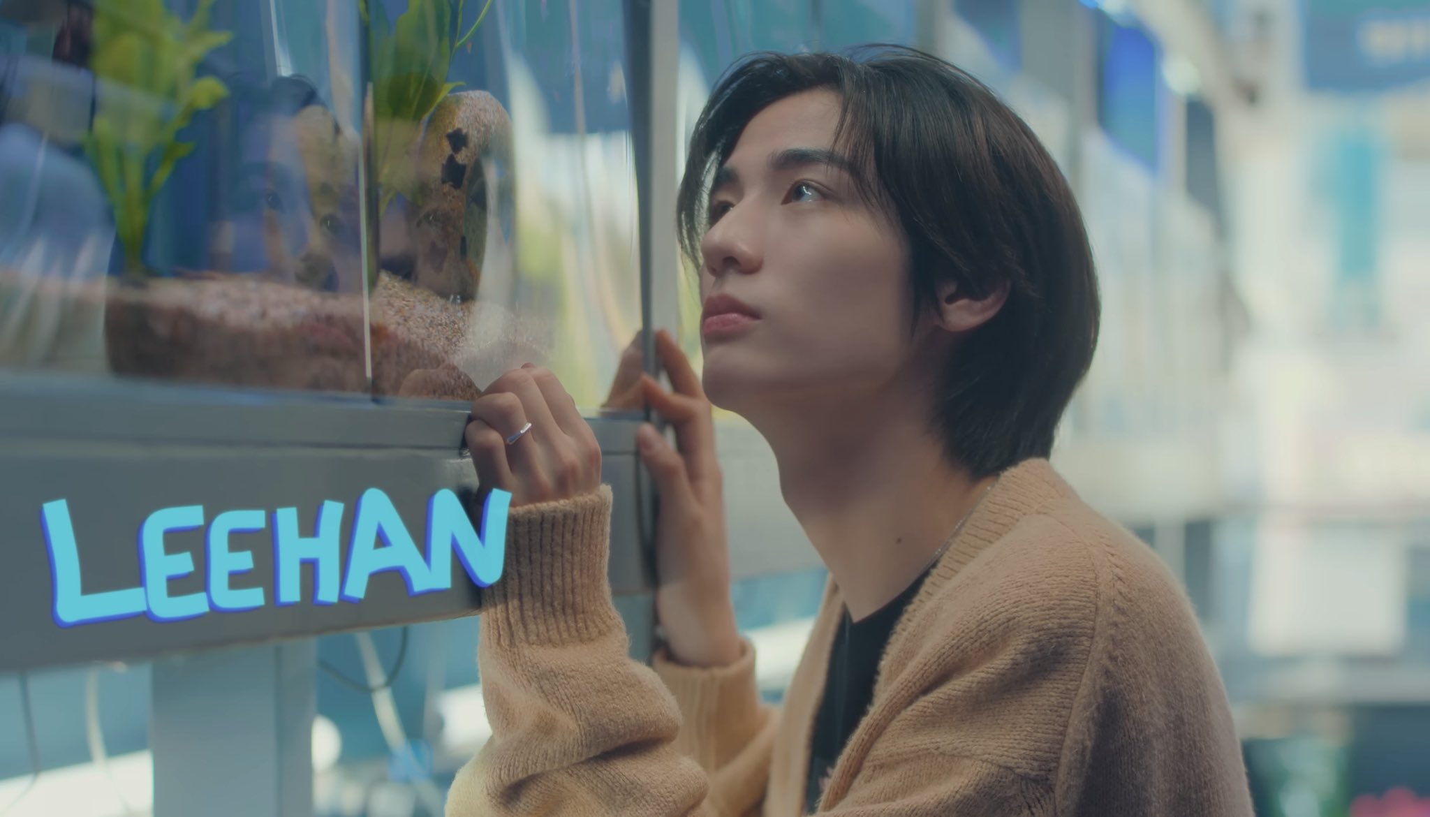 [잡담] 보넥도 얼굴합 보고 가세요 | 인스티즈