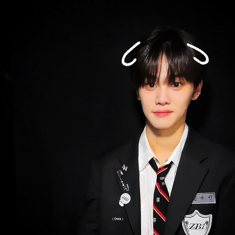 [잡담] 나 진짜 이렇게 확실한 멍멍이상 냥이상 같이있는 거 첨봨ㅋㅋㅋㅋㅋㅋㅋㅋ | 인스티즈