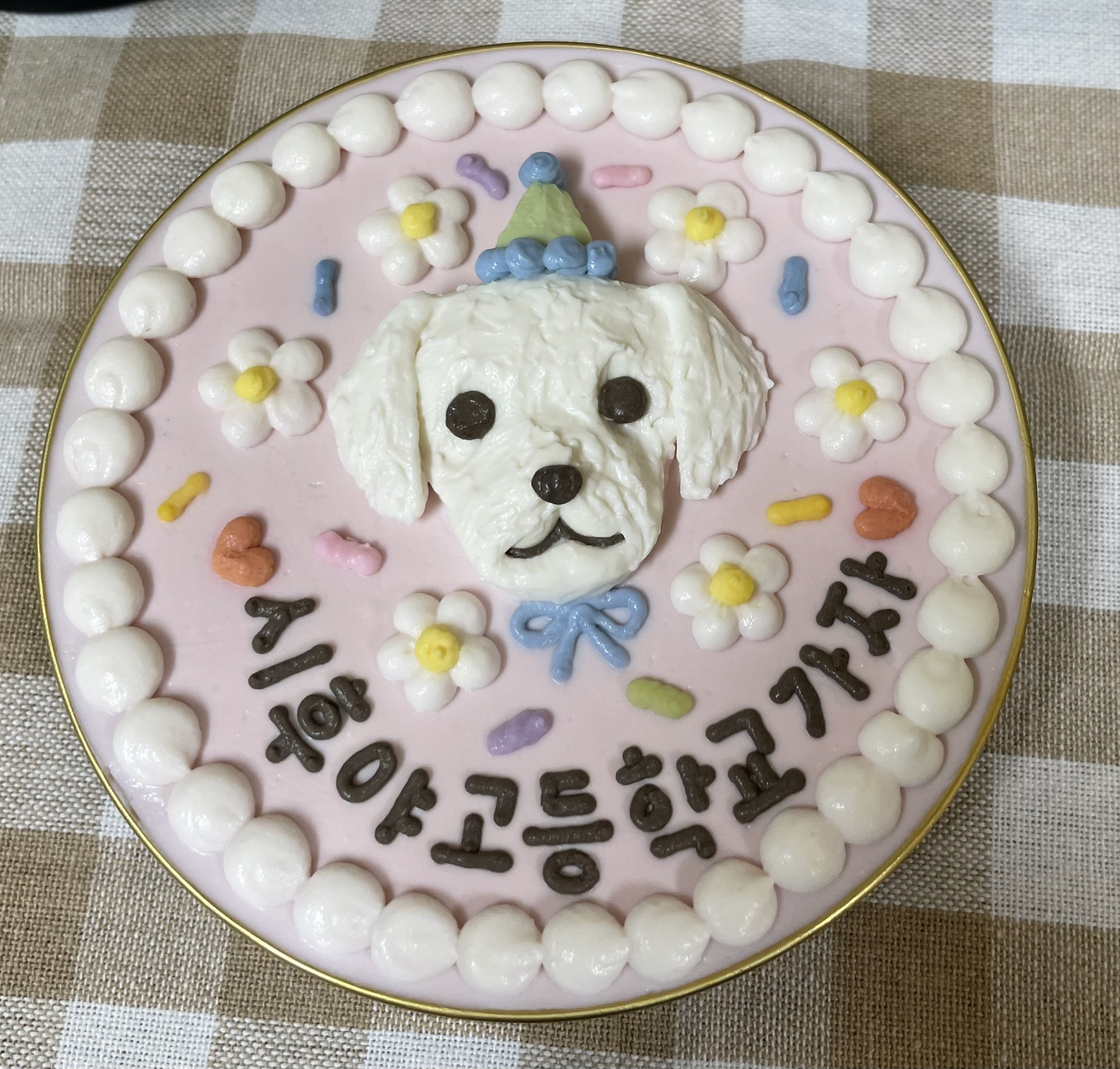 ㅎㅎ 오늘 우리 강아지들 생일파티 해줬어!!!! | 인스티즈
