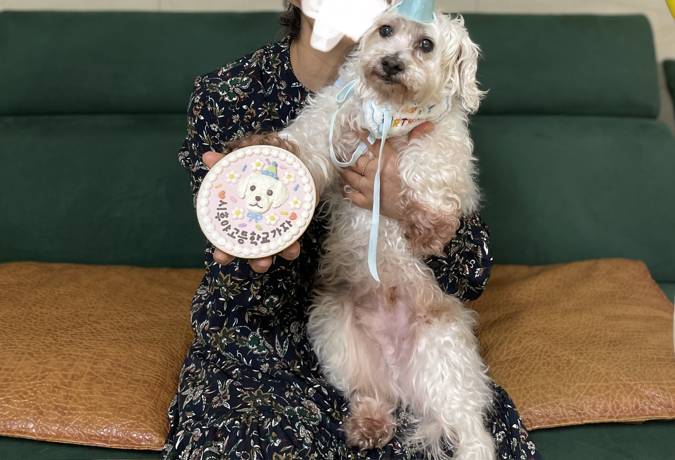 ㅎㅎ 오늘 우리 강아지들 생일파티 해줬어!!!! | 인스티즈