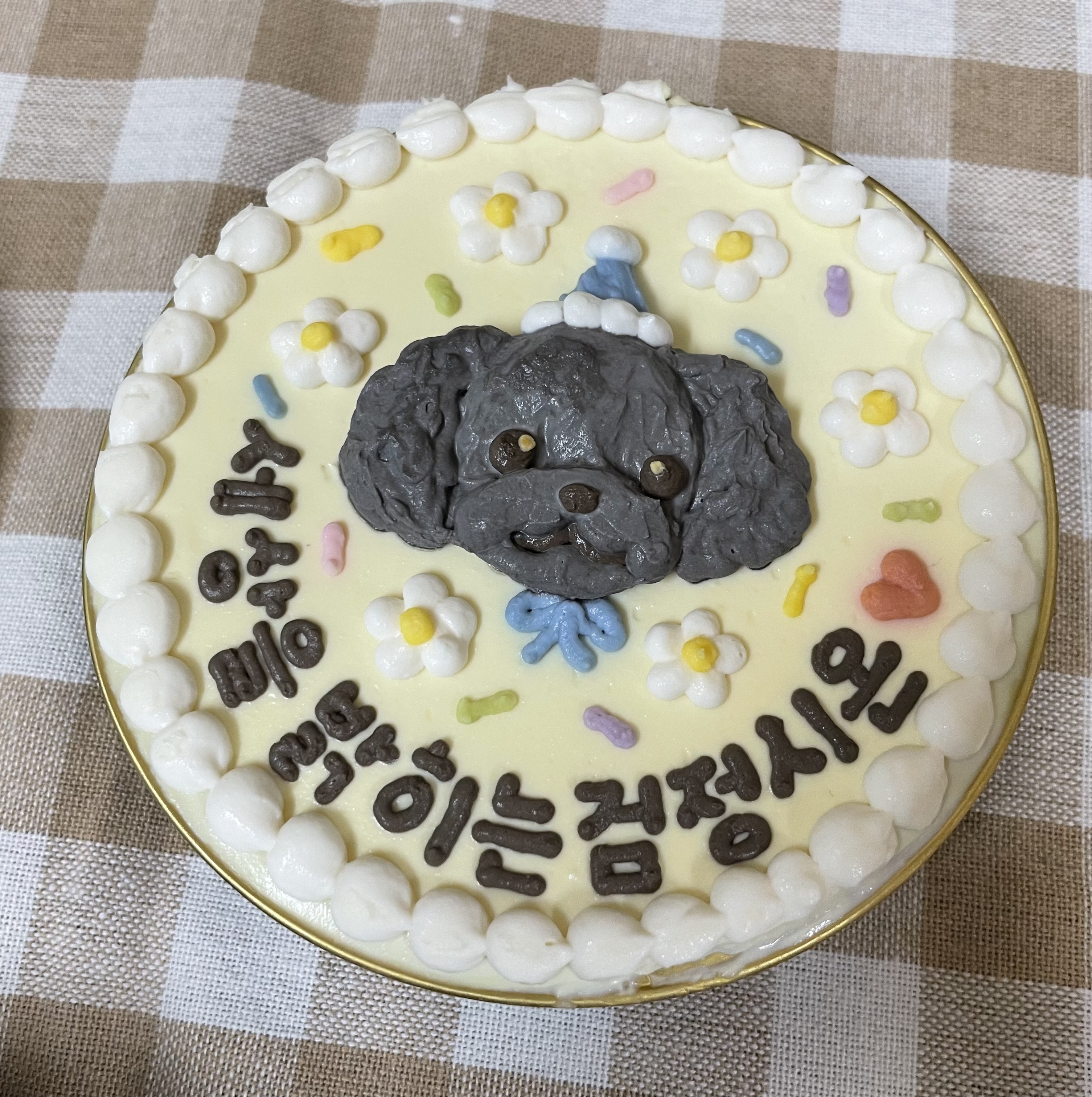 ㅎㅎ 오늘 우리 강아지들 생일파티 해줬어!!!! | 인스티즈