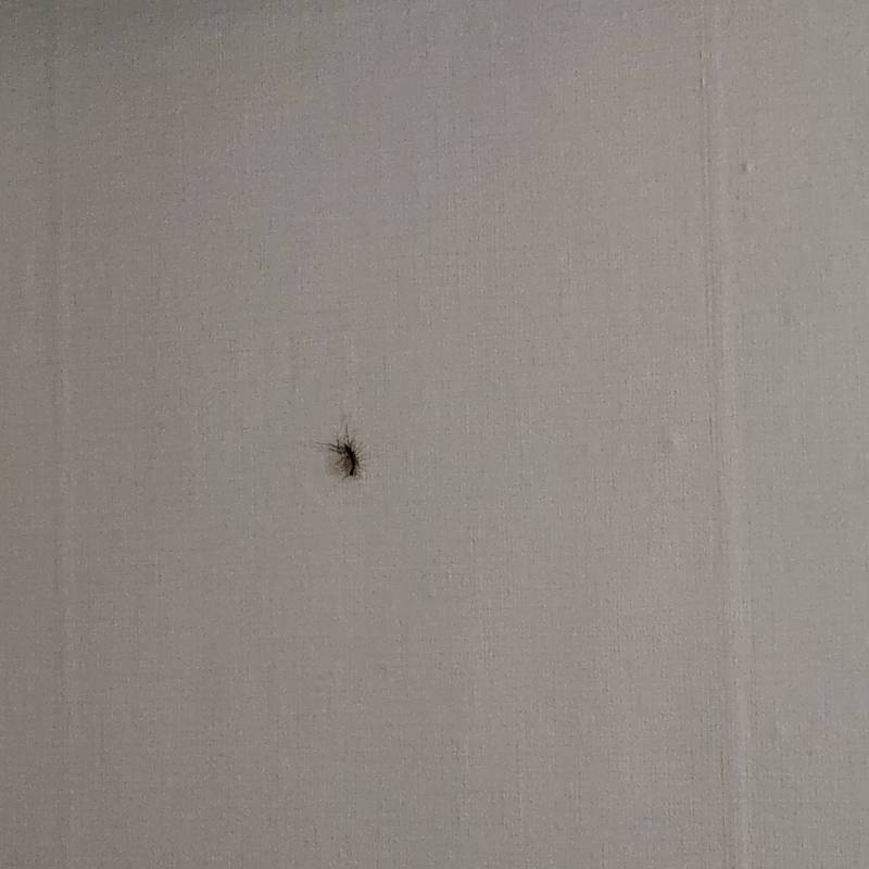 살려주셍ㆍ느 | 인스티즈