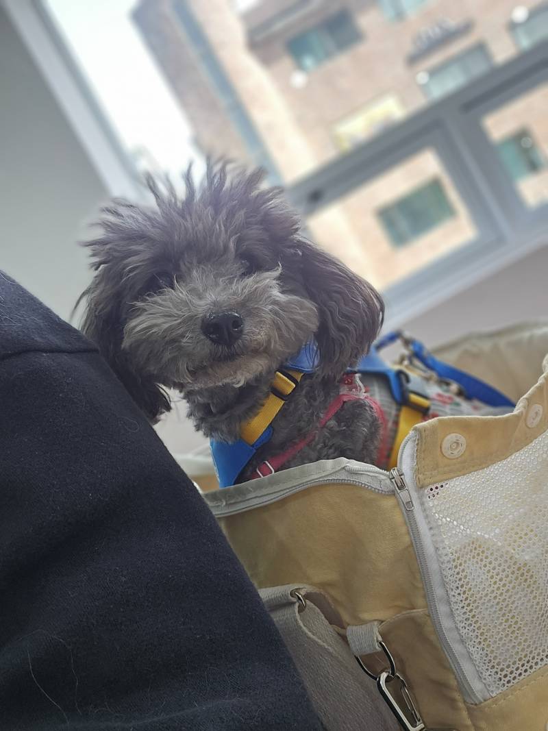 돈가스 먹자고 구라쳤어 | 인스티즈