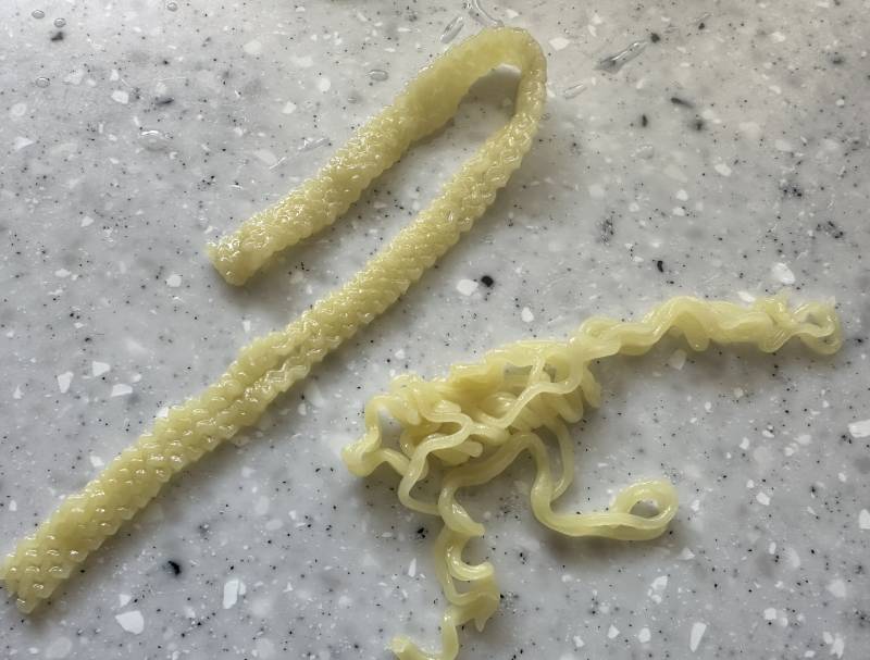 라면 면봐 징그러워 | 인스티즈