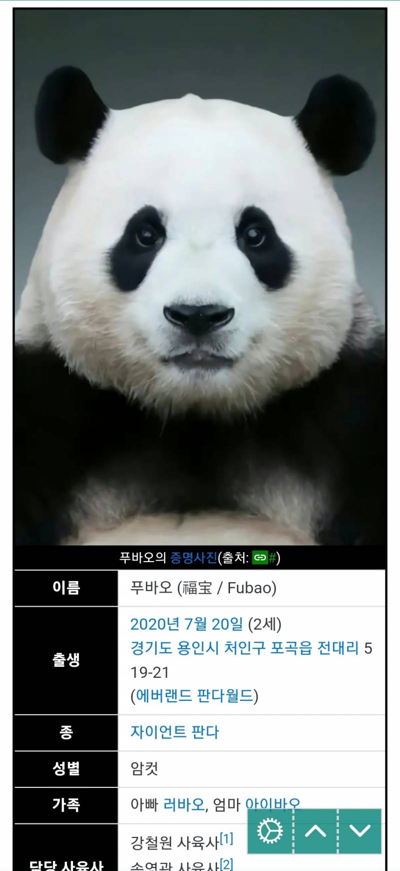 푸바오 나무위키 사진ㅋㅋㅋㅋㅋㅋㅋ - 인스티즈(Instiz) 익명잡담 카테고리