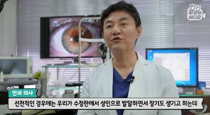 오드아이를 가진 한국인 (세상에 이런일이) | 인스티즈