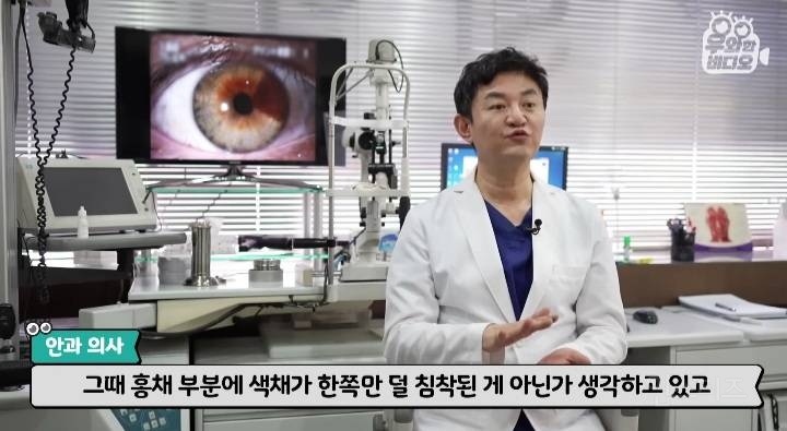 오드아이를 가진 한국인 (세상에 이런일이) | 인스티즈