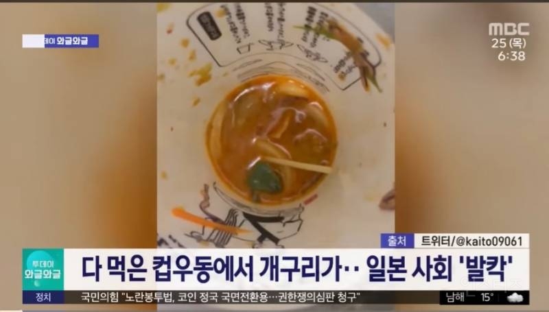 으악! 다먹은 우동컵에서 살아있는 개구리가!!! (일본) | 인스티즈
