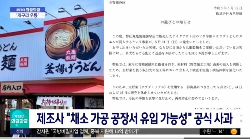 으악! 다먹은 우동컵에서 살아있는 개구리가!!! (일본) | 인스티즈