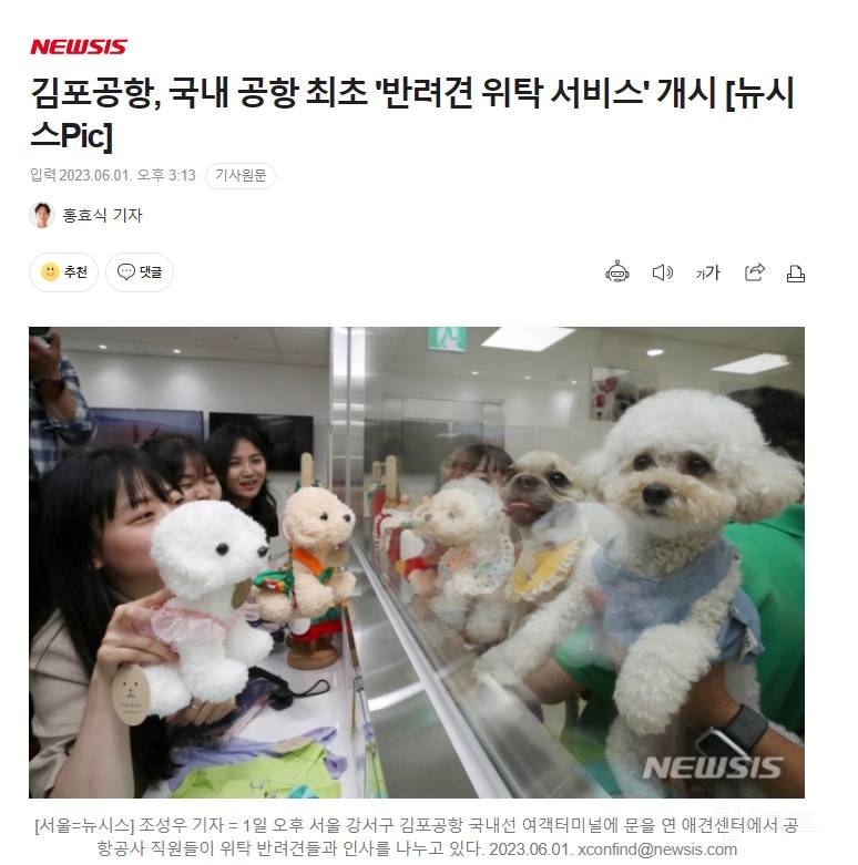 김포공항, 국내 공항 최초 '반려견 위탁 서비스' 개시 | 인스티즈