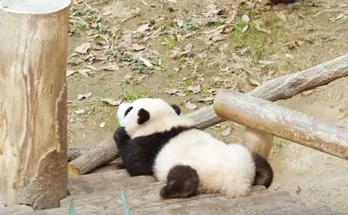 좋아하는 짤 공유해줘!!!!! | 인스티즈