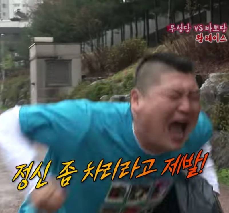 [잡담] 야구팬들 많이 쓰는 짤들 ^^ | 인스티즈