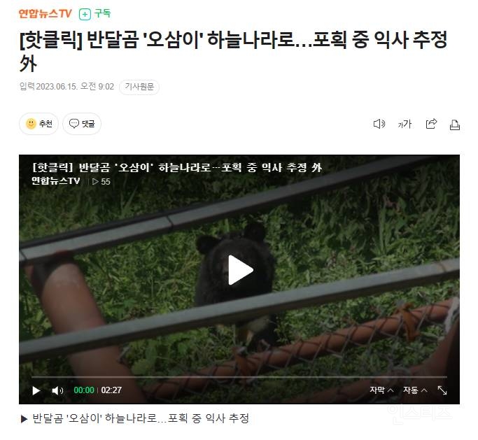 반달곰 '오삼이' 하늘나라로…포획 중 익사 추정 | 인스티즈