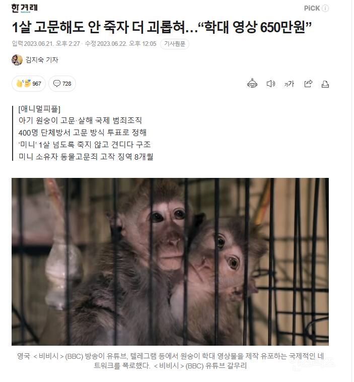 아기 원숭이 학대 영상 제작하고 유포하는 국제 범죄조직, "학대영상 650만원" | 인스티즈