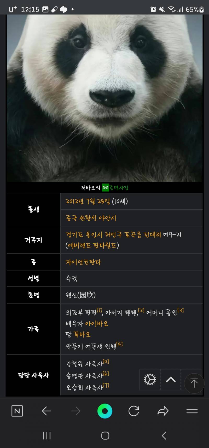 러바오 아이바오 푸바오 나무위키 있넼ㅋㅋㅋㅋㅋㅋ - 인스티즈(Instiz) 익명잡담 카테고리