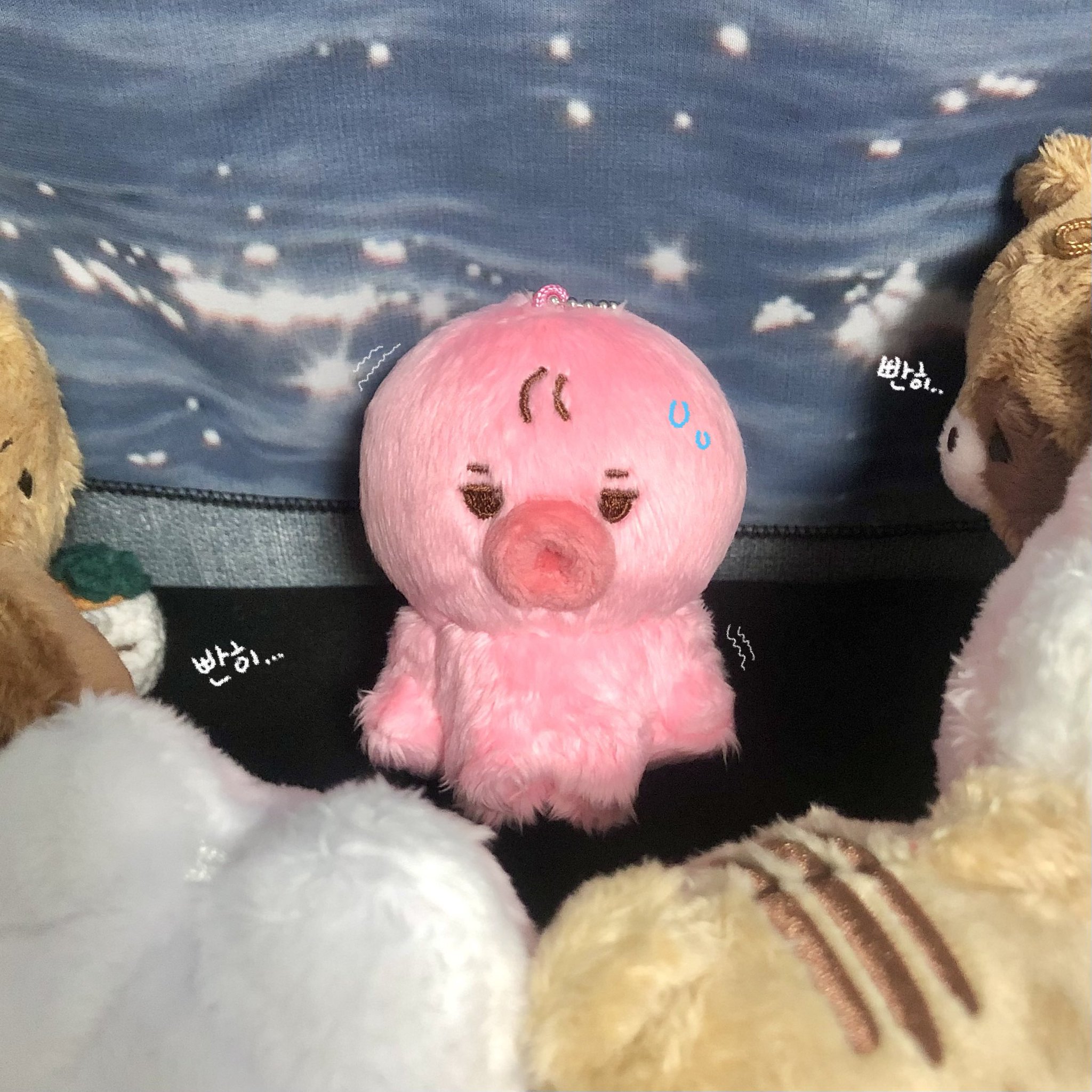 [잡담] 내가 귀여워하는 아이돌 인형들 | 인스티즈