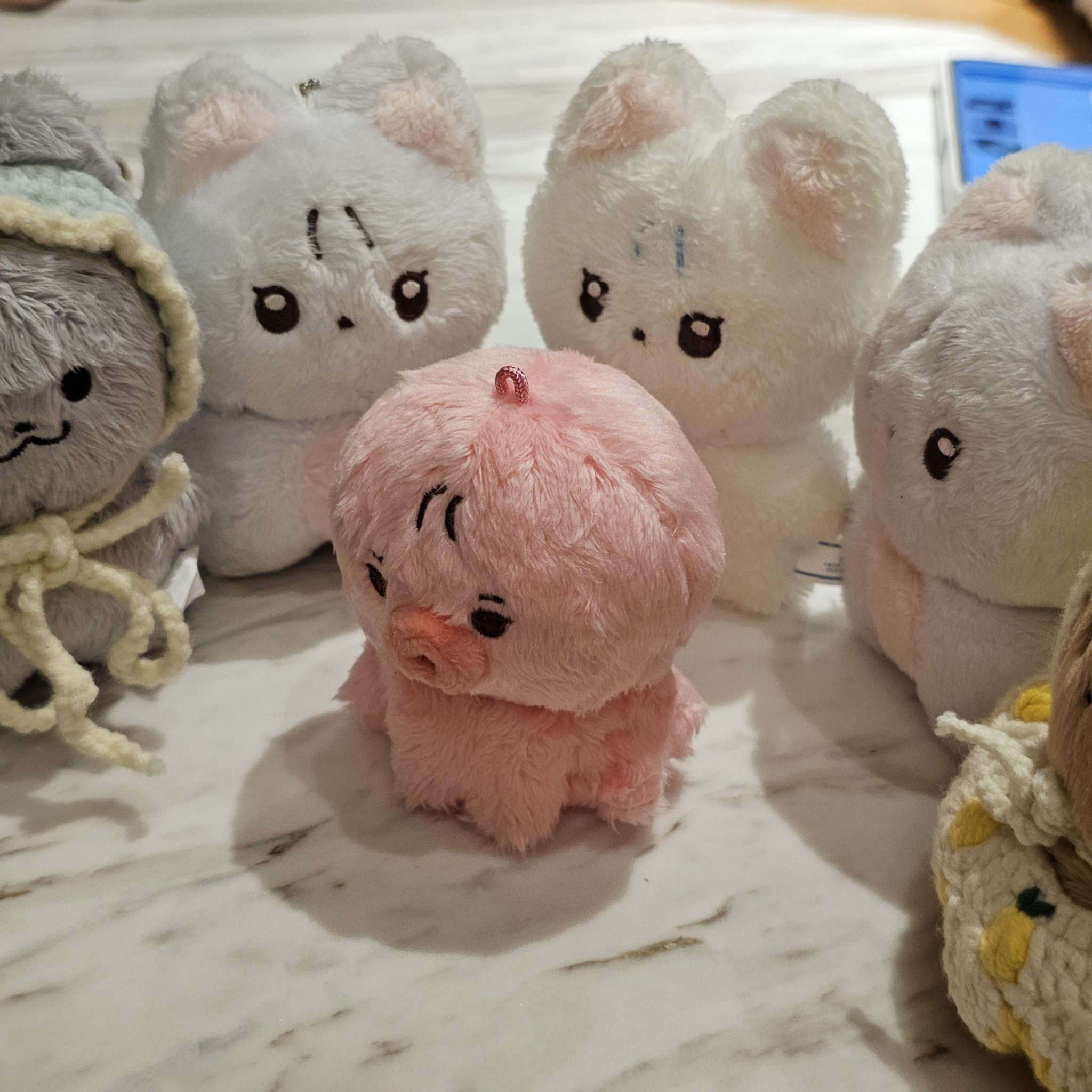 [잡담] 내가 귀여워하는 아이돌 인형들 | 인스티즈