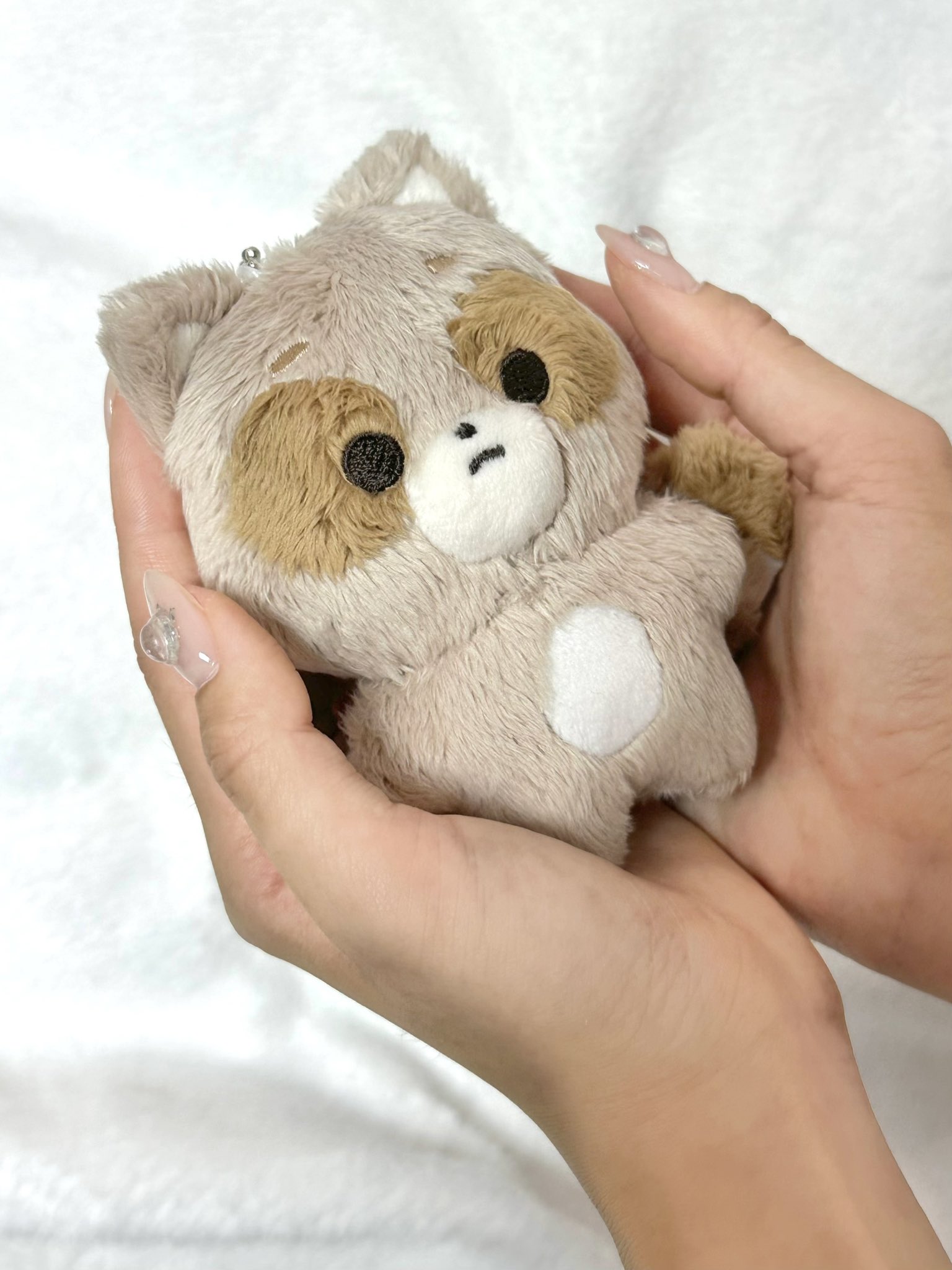 [잡담] 내가 귀여워하는 아이돌 인형들 | 인스티즈