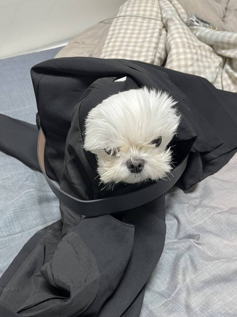 [잡담] 님아 뭐하세욬ㅋㅋㅋ | 인스티즈