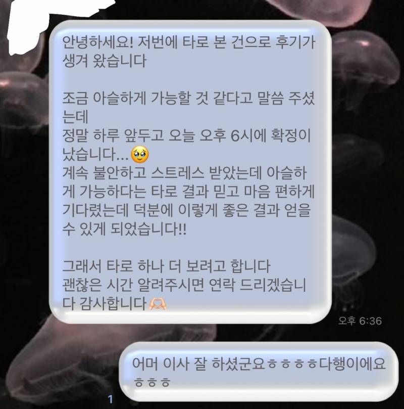 🔮전문가타로🔮연애재회속마음 전문/자격증 보유 전문 타로 상담가 | 인스티즈