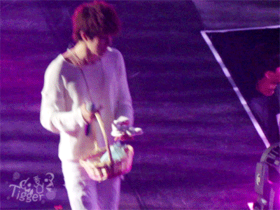 [잡담] 인피니트 콘서트 요약 | 인스티즈