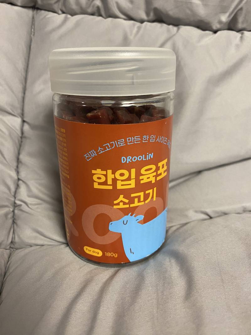 🐶입맛 깐깐강쥐의 대선보다 빡센 간식월드컵 (여름간식추천)🐶 | 인스티즈