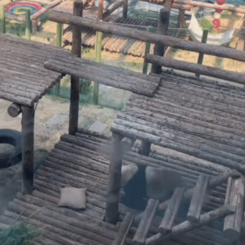 아 진후 진짜 페이윈 싫어하나보넼ㅋㅋㅋㅋㅋㅋ | 인스티즈