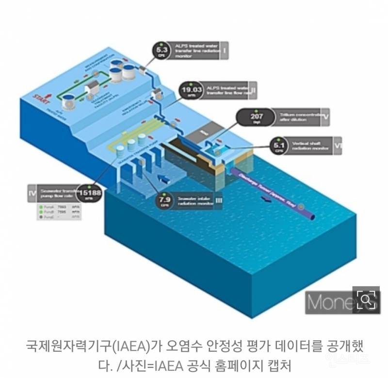 IAEA, 오염수 안전성 데이터 실시간 공개… | 인스티즈