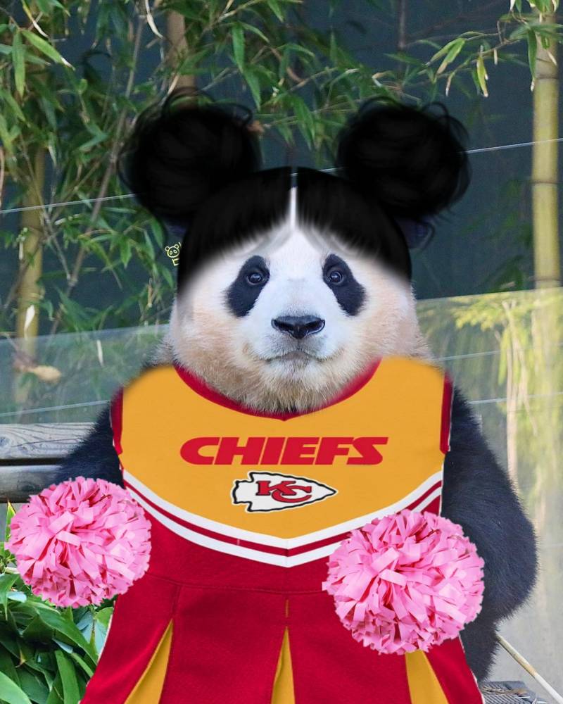 푸꾸 재밌다 ㅋㅋㅋㅋ | 인스티즈