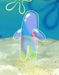 판다는 어떻게 체형이 저렇지 | 인스티즈