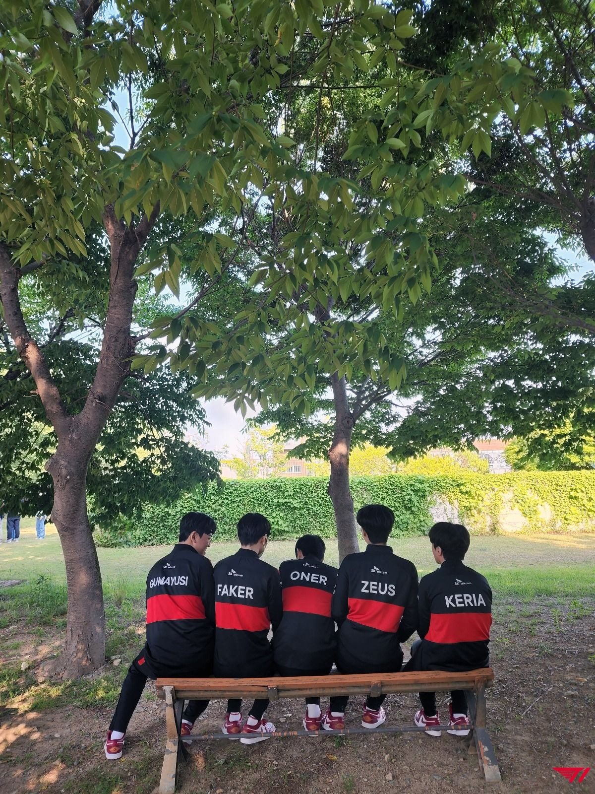 [OnAir] 롤 탑 서폿 그리고 페이커에게 관심이 생겼다면 이쪽으로~ | 인스티즈