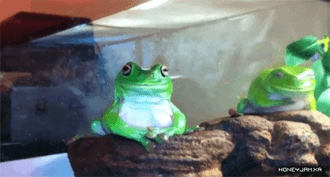 [잡담] 난 내일 첫출근한다.... | 인스티즈