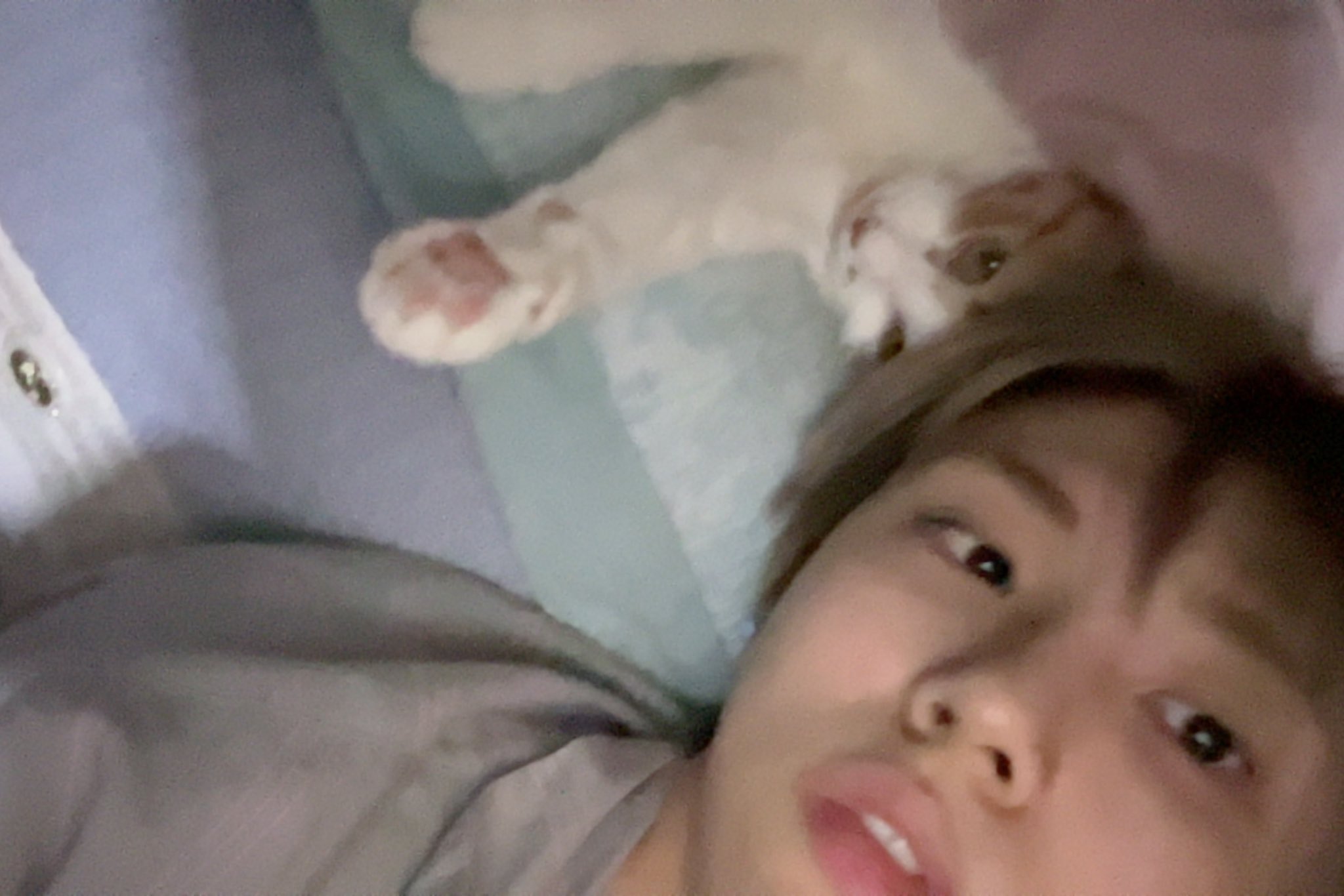 [잡담] 본가 고양이랑 사진 찍은거 귀엽다 | 인스티즈