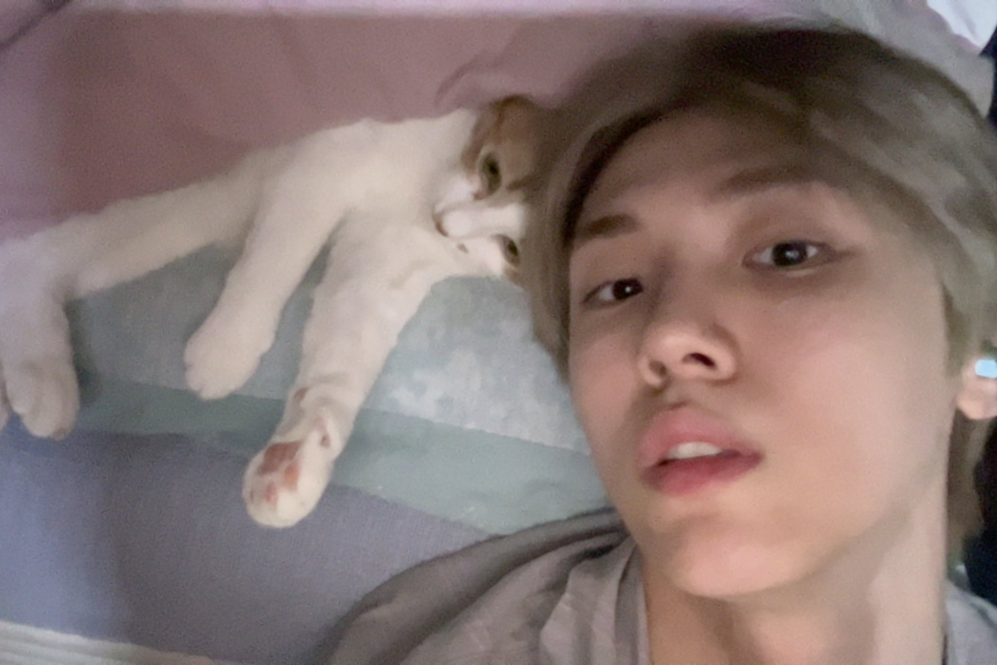 [잡담] 본가 고양이랑 사진 찍은거 귀엽다 | 인스티즈