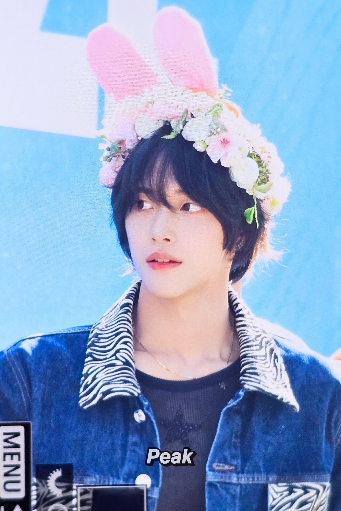 [잡담] 닉주디 환장녀가 모아보는 신인남돌 닉주디즈 (라이즈 제베원 이븐) | 인스티즈