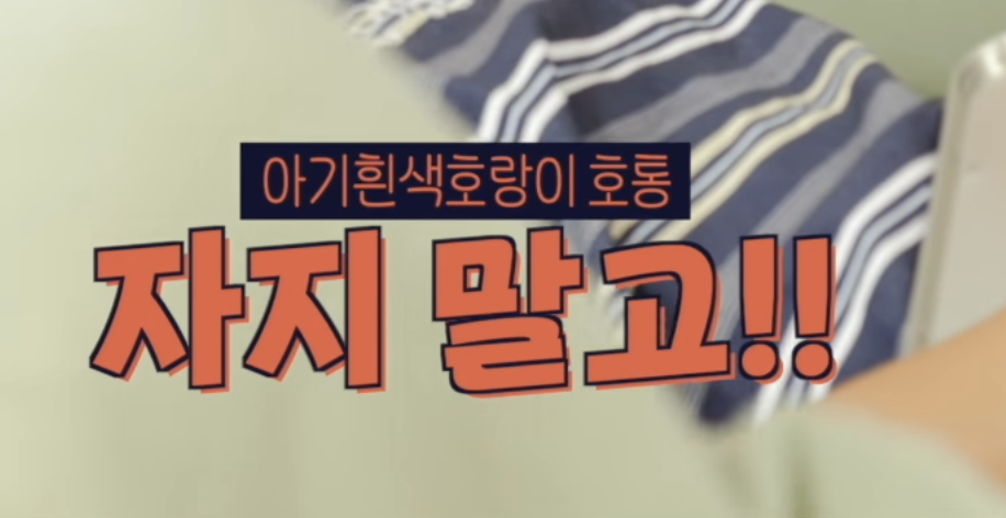 [잡담] 라이즈 자컨에 아기흰색호랑이 등장 | 인스티즈