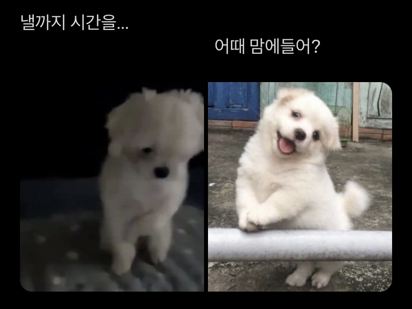 [잡담] 어제오늘 정우 버블 요약.jpg | 인스티즈