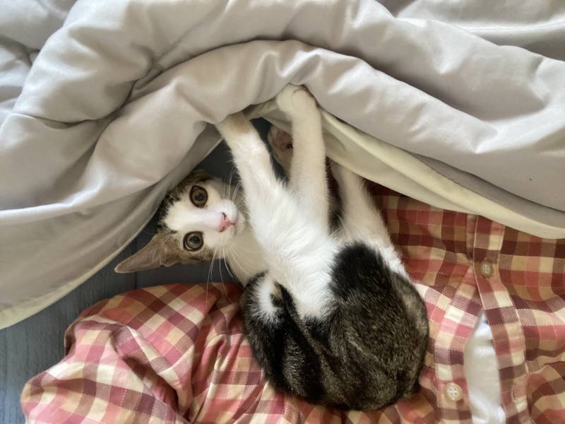 [잡담] 일어나라. 인간!! | 인스티즈