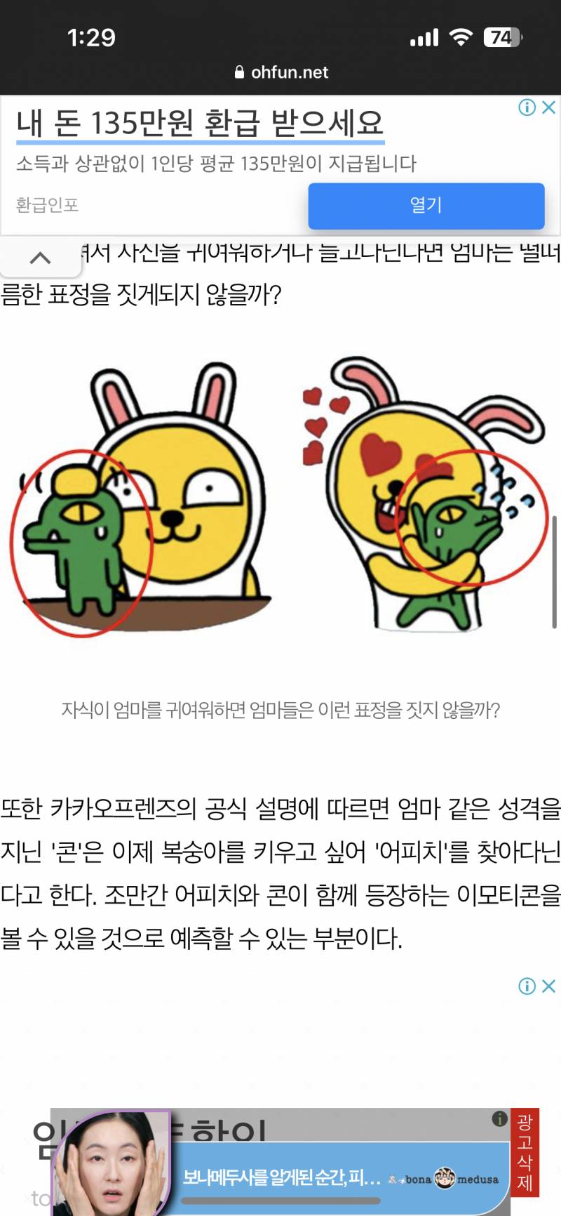 [잡담] 야들아 너네 카카오프렌즈 콘과 무지의 관계성알아? | 인스티즈