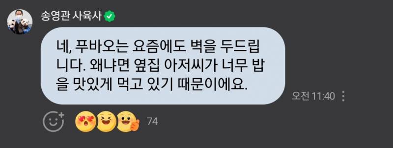 [잡담] 이거 러바오 말하는 거야? | 인스티즈