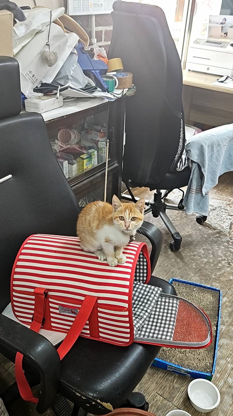 [잡담] 회사면접 오늘이라고 하셔서 갔는데 문 잠겨있어서 | 인스티즈