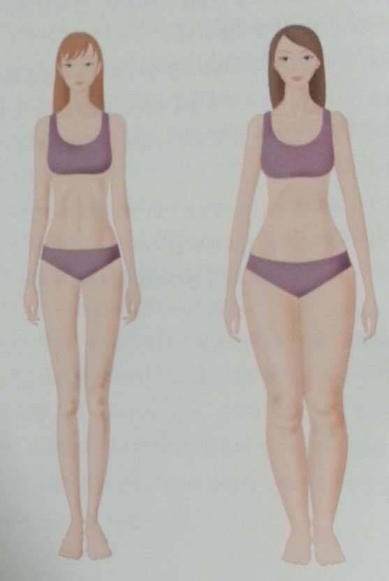 [잡담] 이거 너무 내 몸매라 슬퍼 | 인스티즈