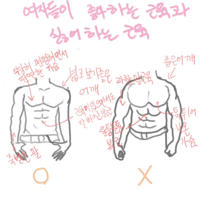 [잡담] 여자들이 좋아하는 근육 싫어하는 근육 이거 진짜야? | 인스티즈