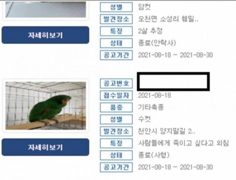 [잡담] 널 죽이고싶다라고 말하는 앵무새 잘못 없지 않아? | 인스티즈