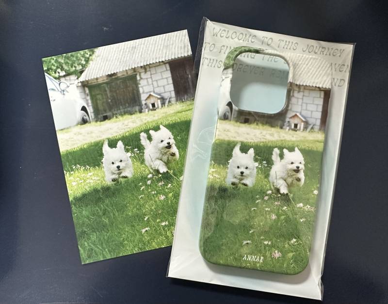 [잡담] 케이스 뭐낄까~? | 인스티즈