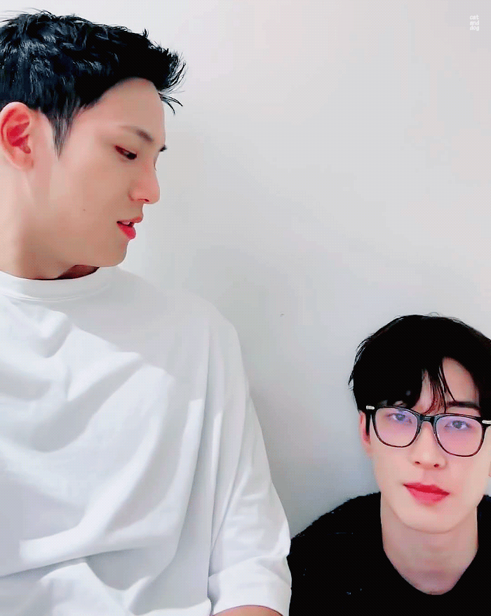 [정리글] 민원 라방 정리글(230811~) | 인스티즈