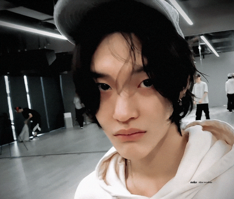 [잡담] 원빈 퀭냥이 움짤(추가) | 인스티즈