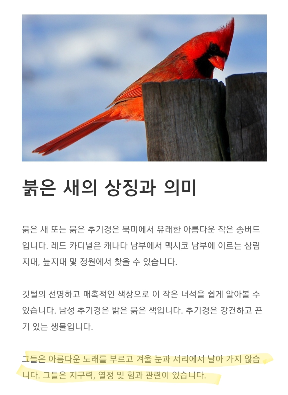 [잡담] 헐 키스오브라이프 벨 빨간 머리 아쉬워하는 사람들 있었는데 | 인스티즈